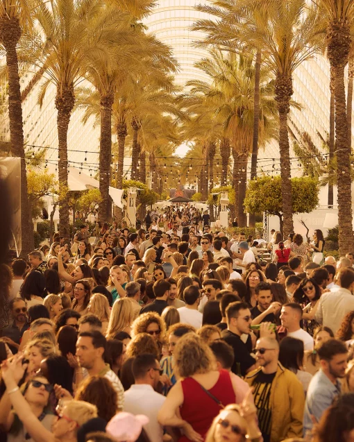 POMPA_valencia-tardeo_4